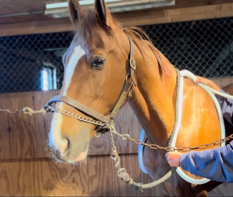 Indy Equi-Wave