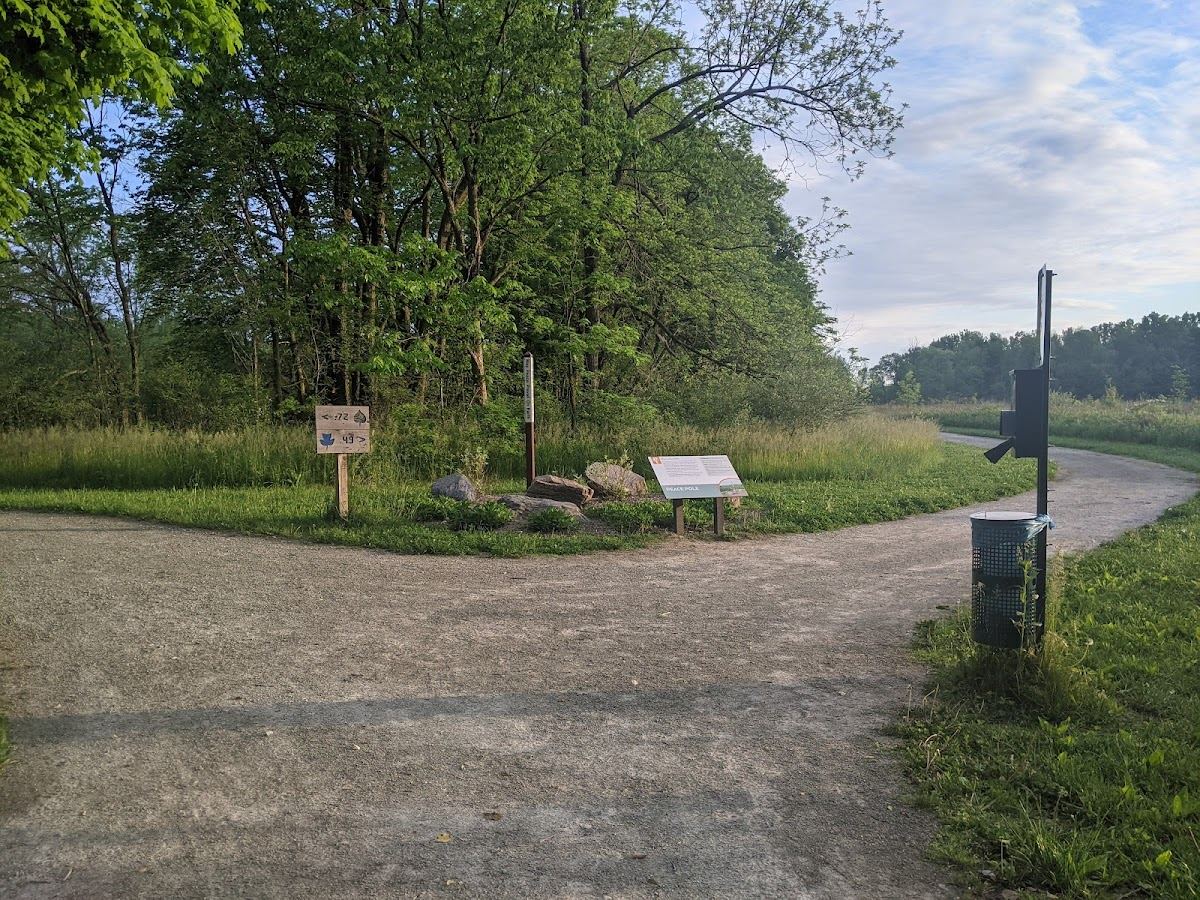 Macgregor Park