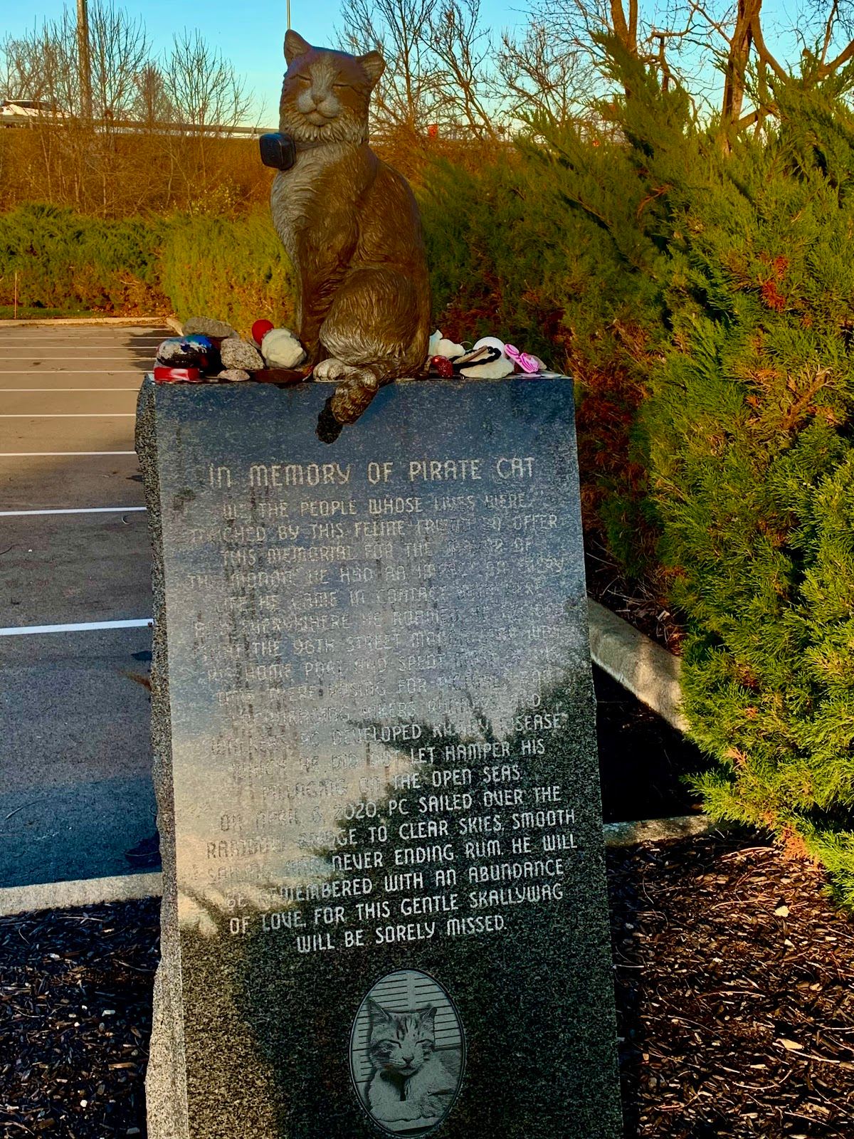 Pirate Cat Memorial