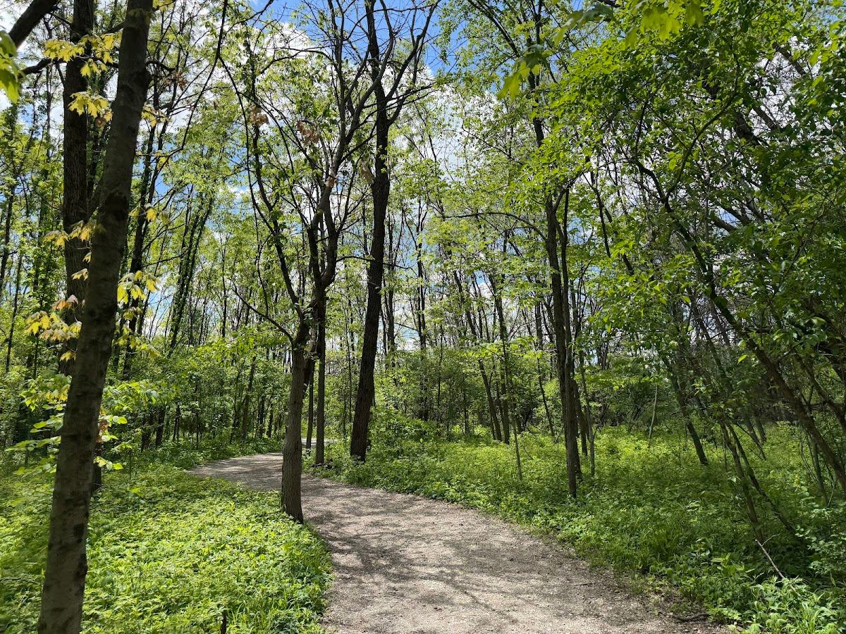 Ritchey Woods Nature Preserve