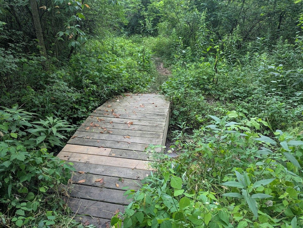 Robey Park