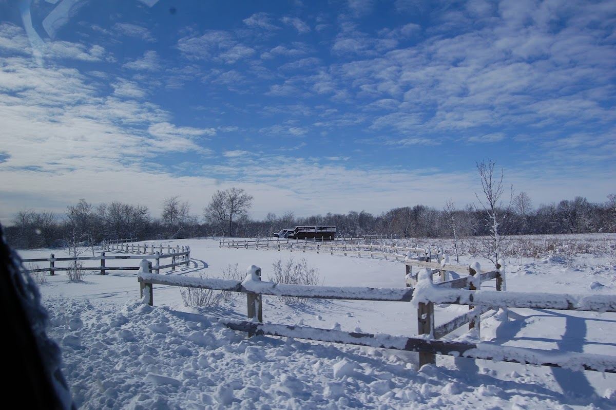 Rookery Preserve