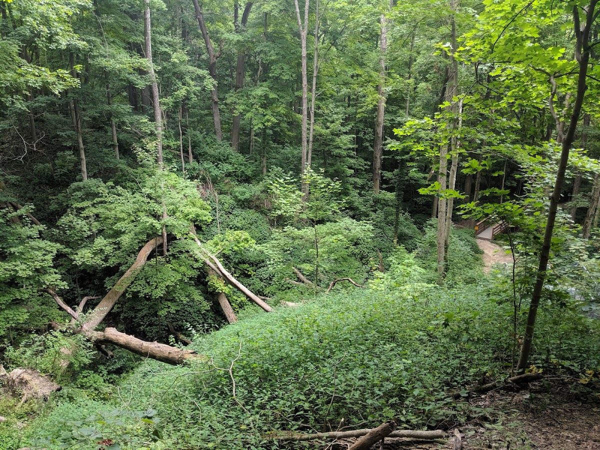 Starkey Park