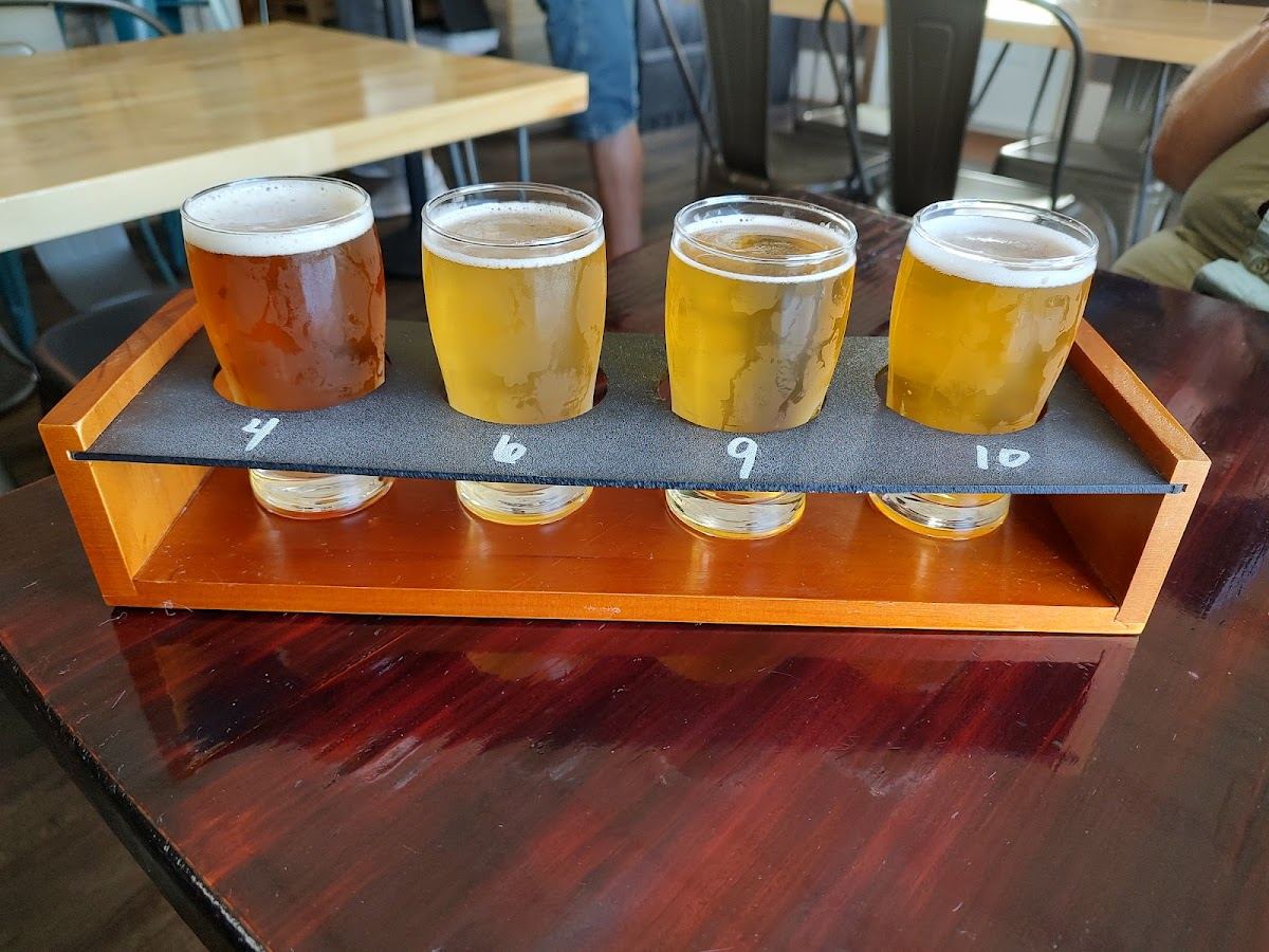 Tarnished Hollow Brewing Co.