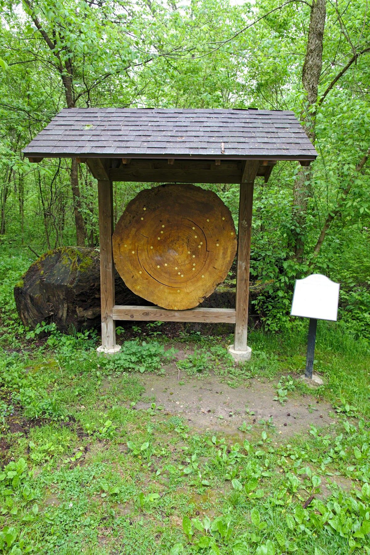 Turkey Foot Nature Park