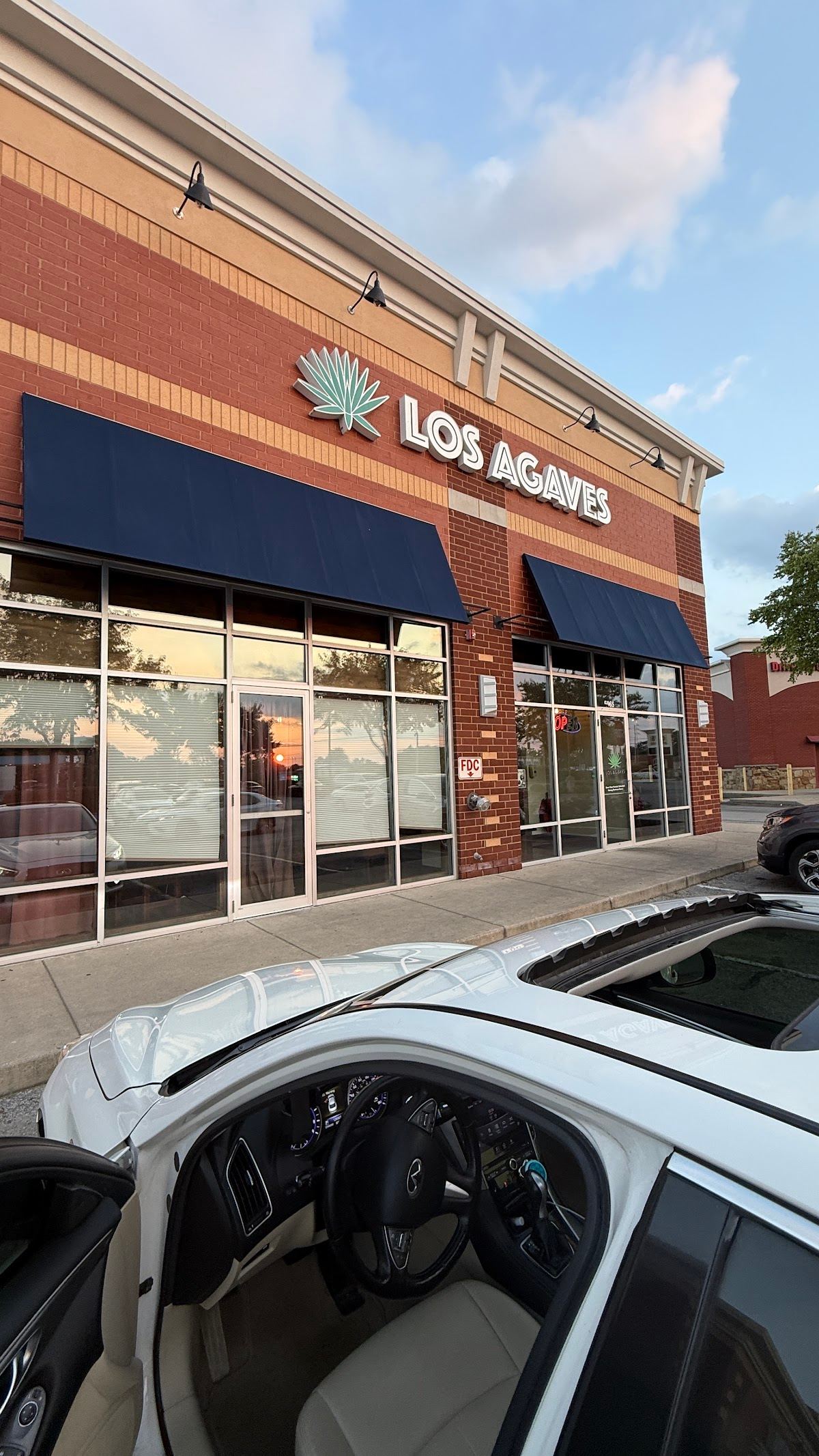 Los Agaves