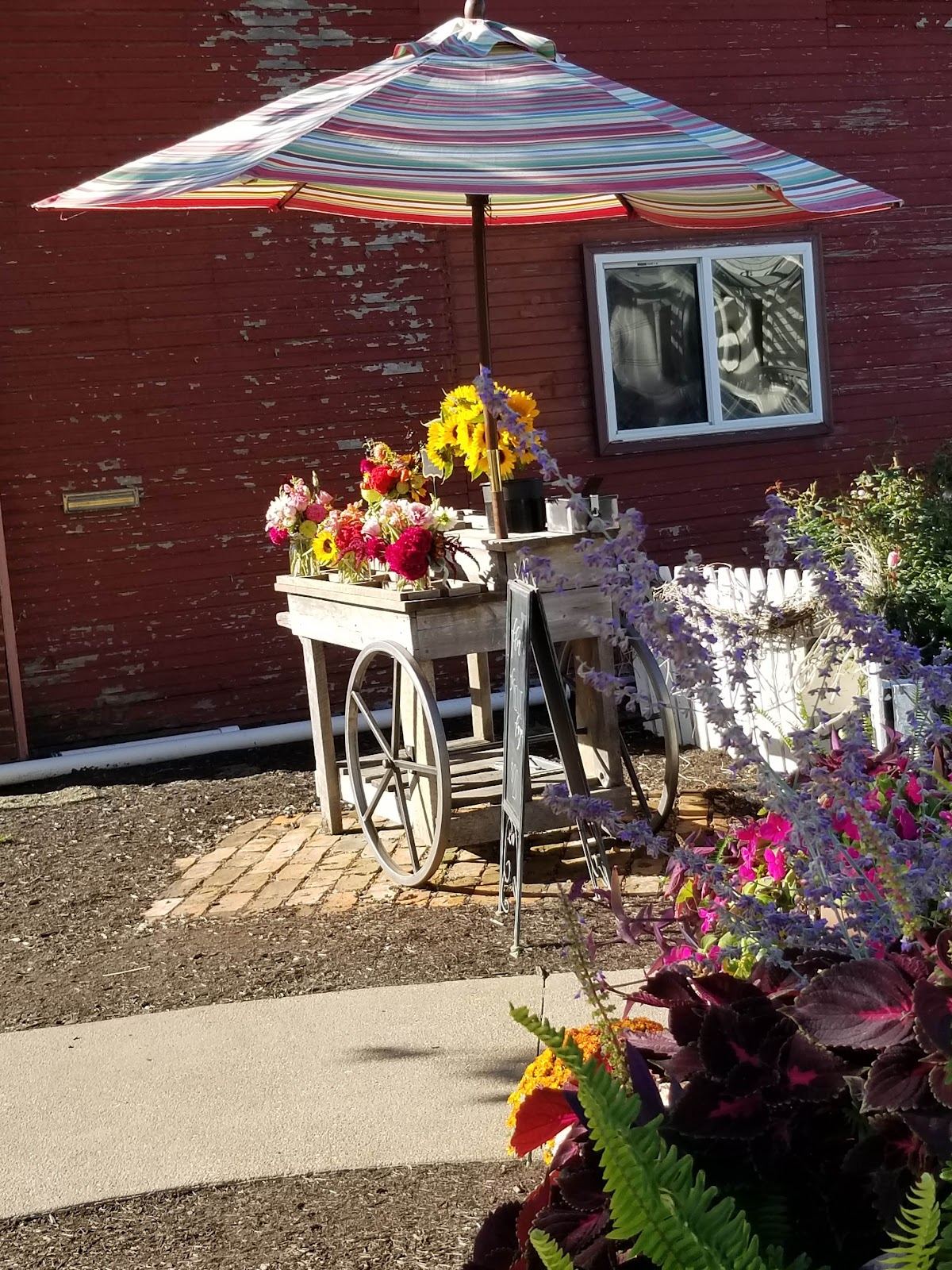 Nellie Faye's