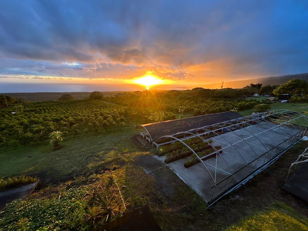 Bay View Farm