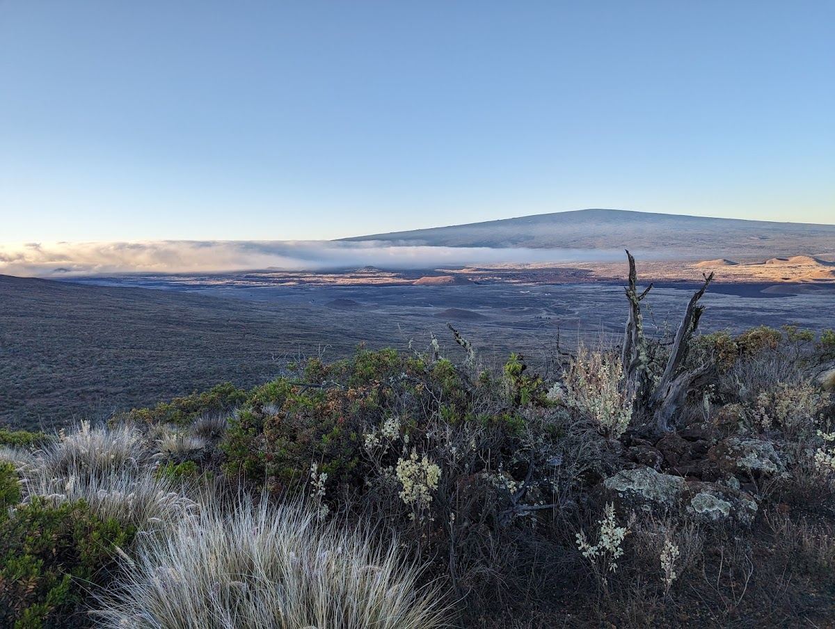 Ka‘ohe Game Management Area