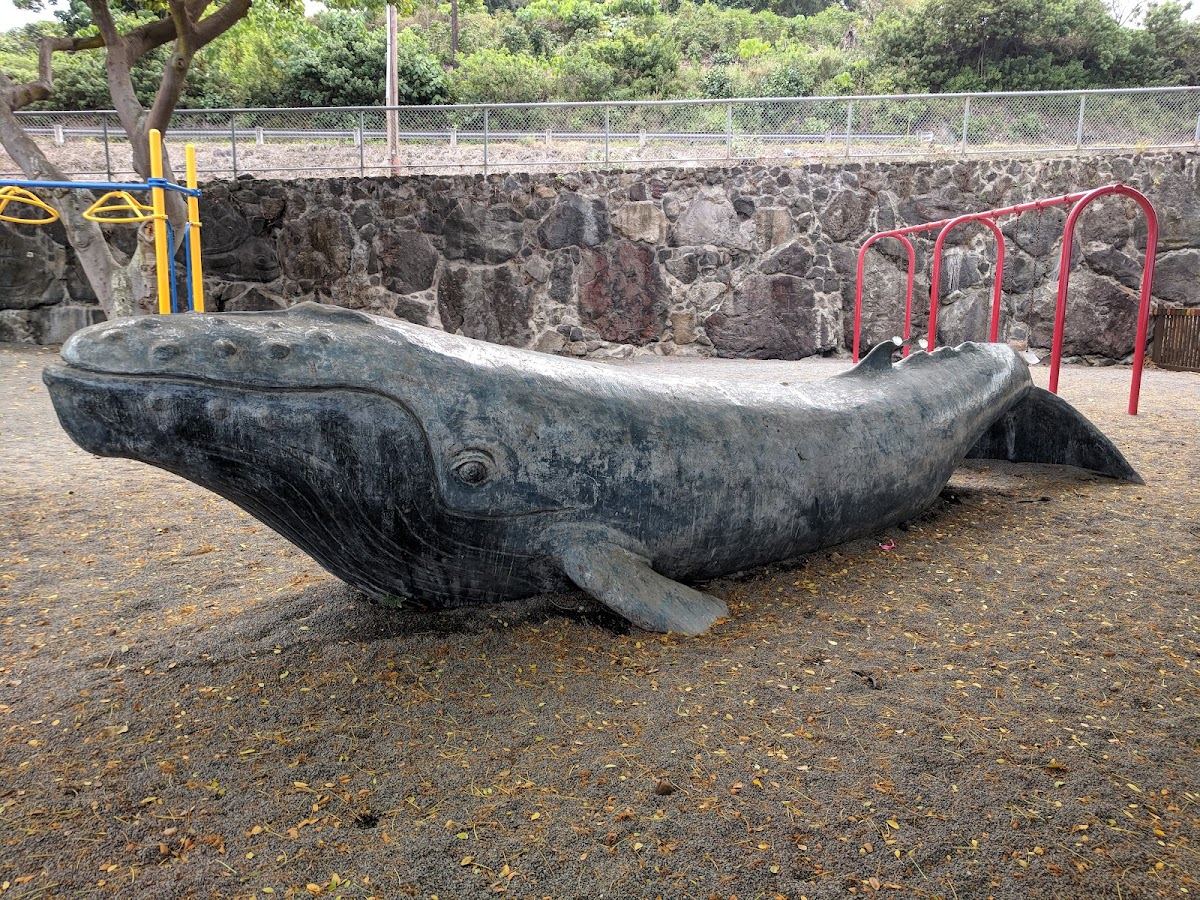 Kamakana Playground