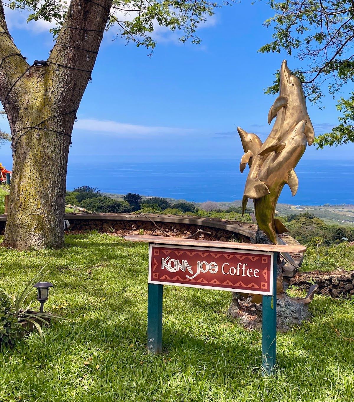 Kona Joe Coffee LLC