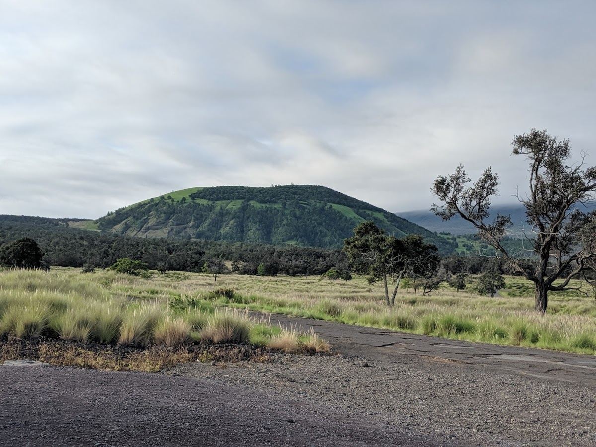Pu'u Wa'awa'a Forest Reserve