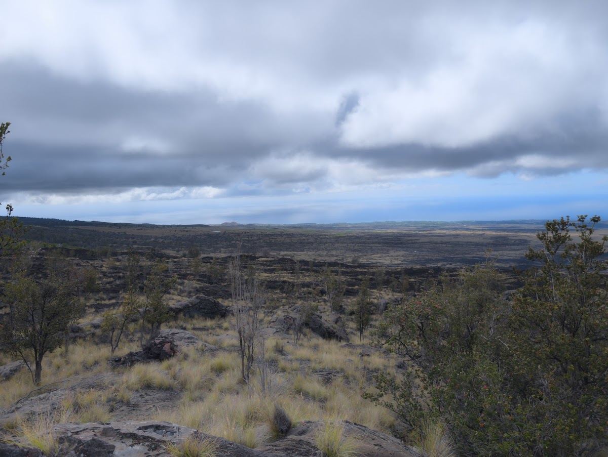 Scenic Point