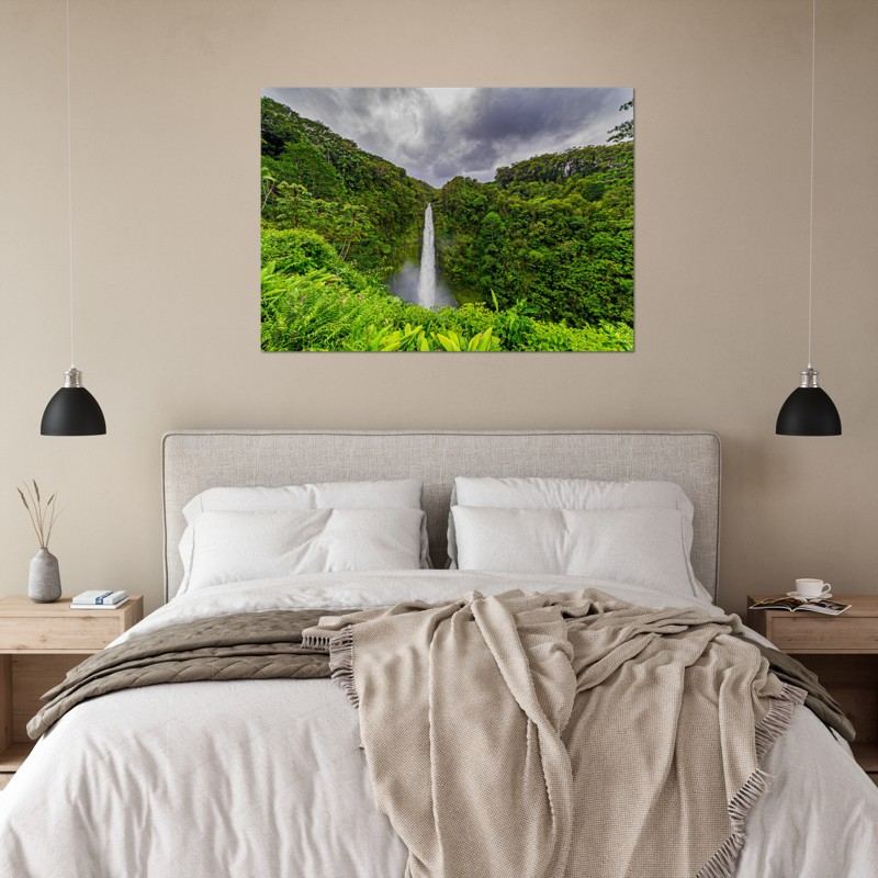 Tropical Dreams Photography