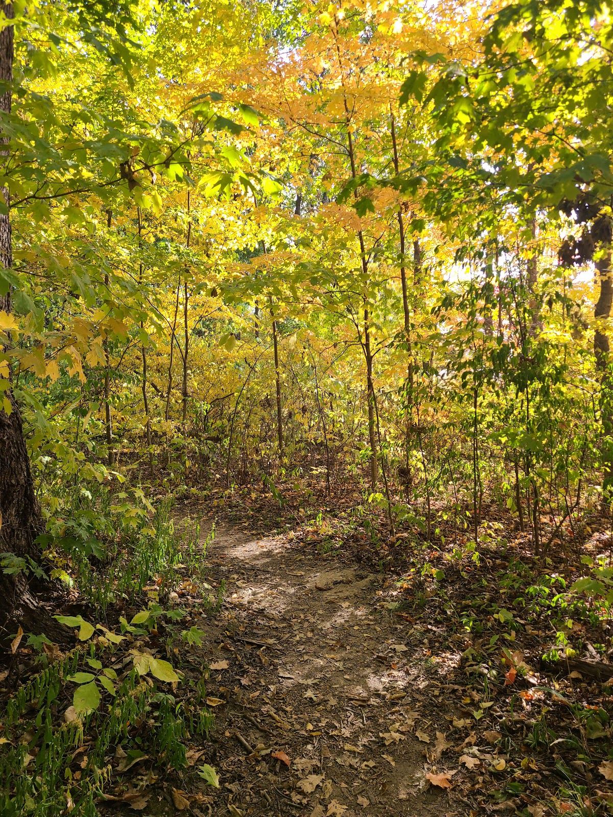 Burnett Woods Park & Nature Preserve