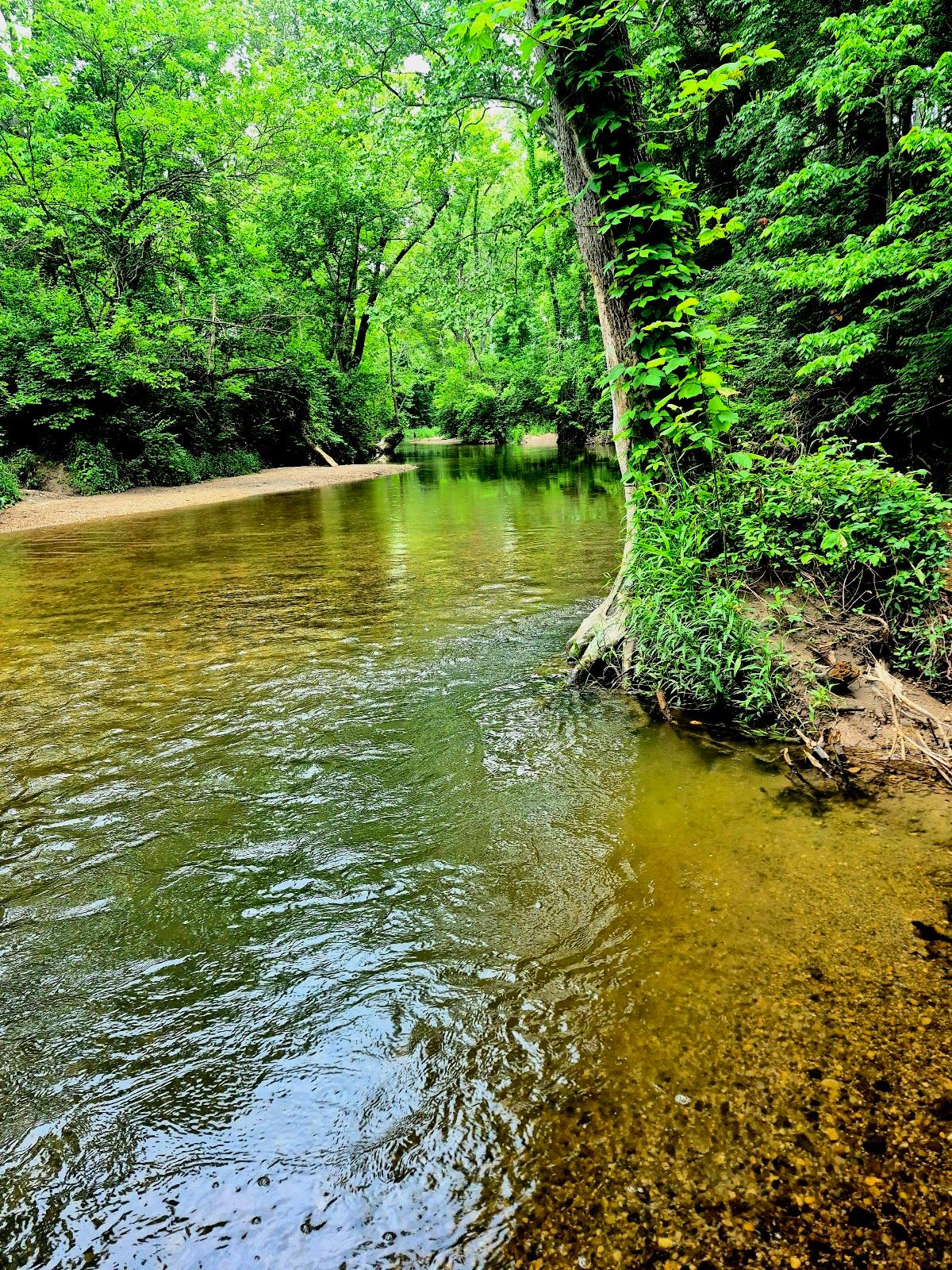Mooresville Parks & Recreation