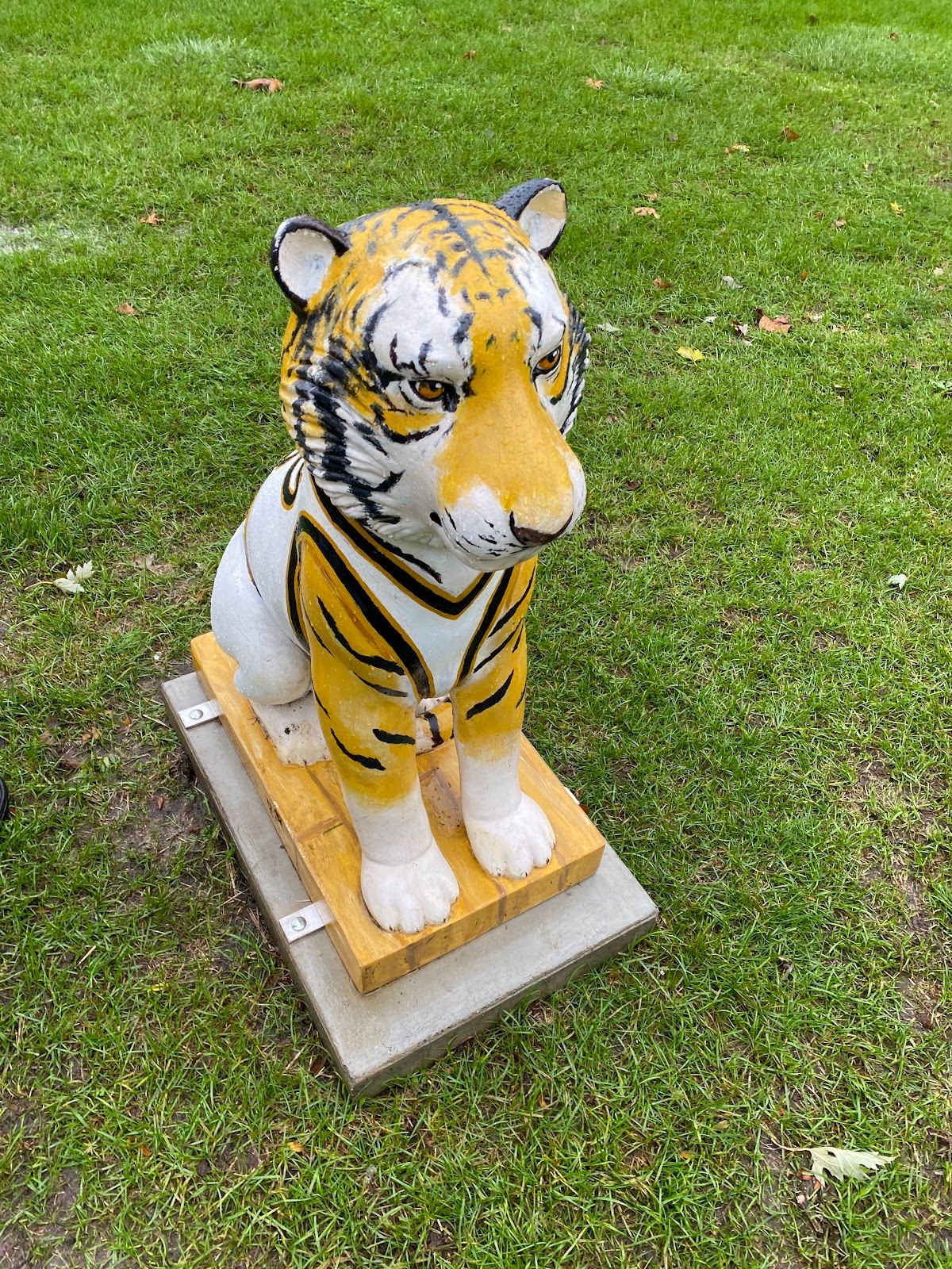 Rocket the Tiger