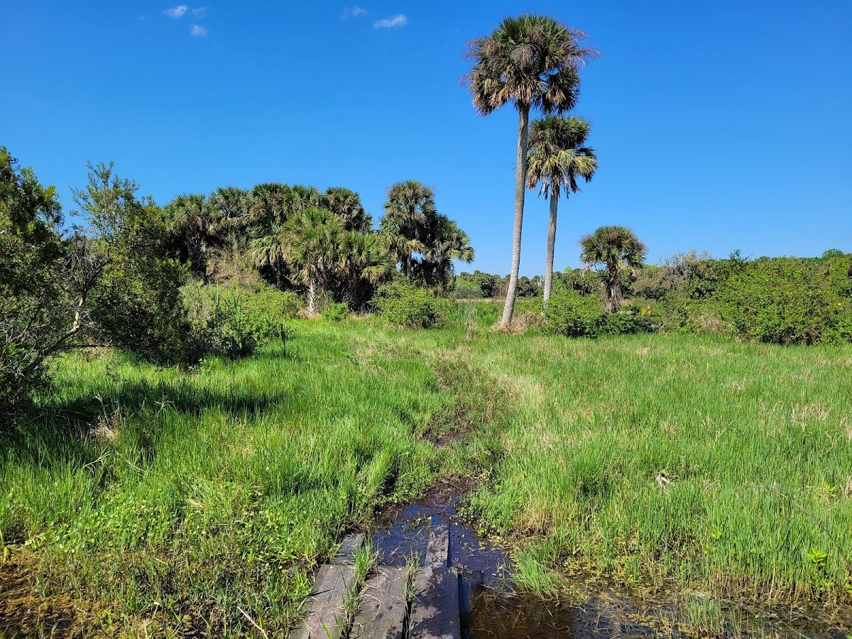 Florida Trail Micco Landing Trailhead