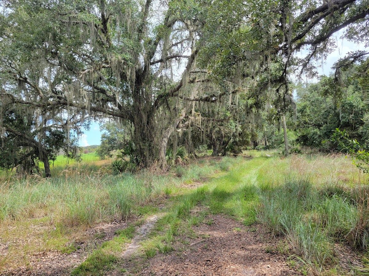 Hickory Hammock Wildlife Management Area
