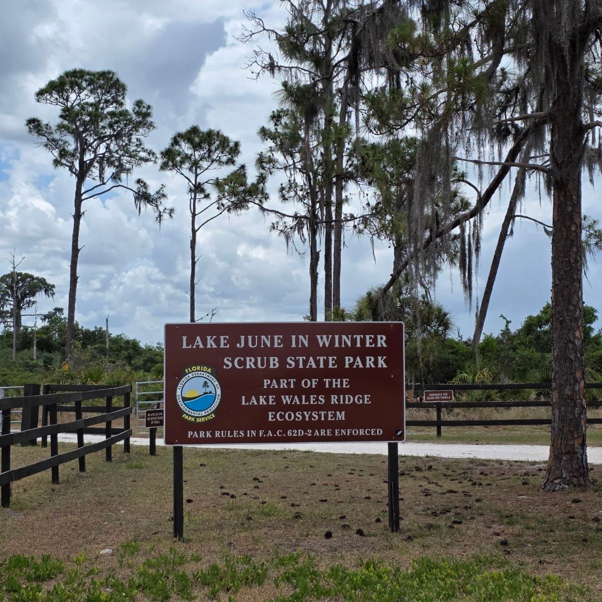 Lake June in Winter Scrub Preserve State Park
