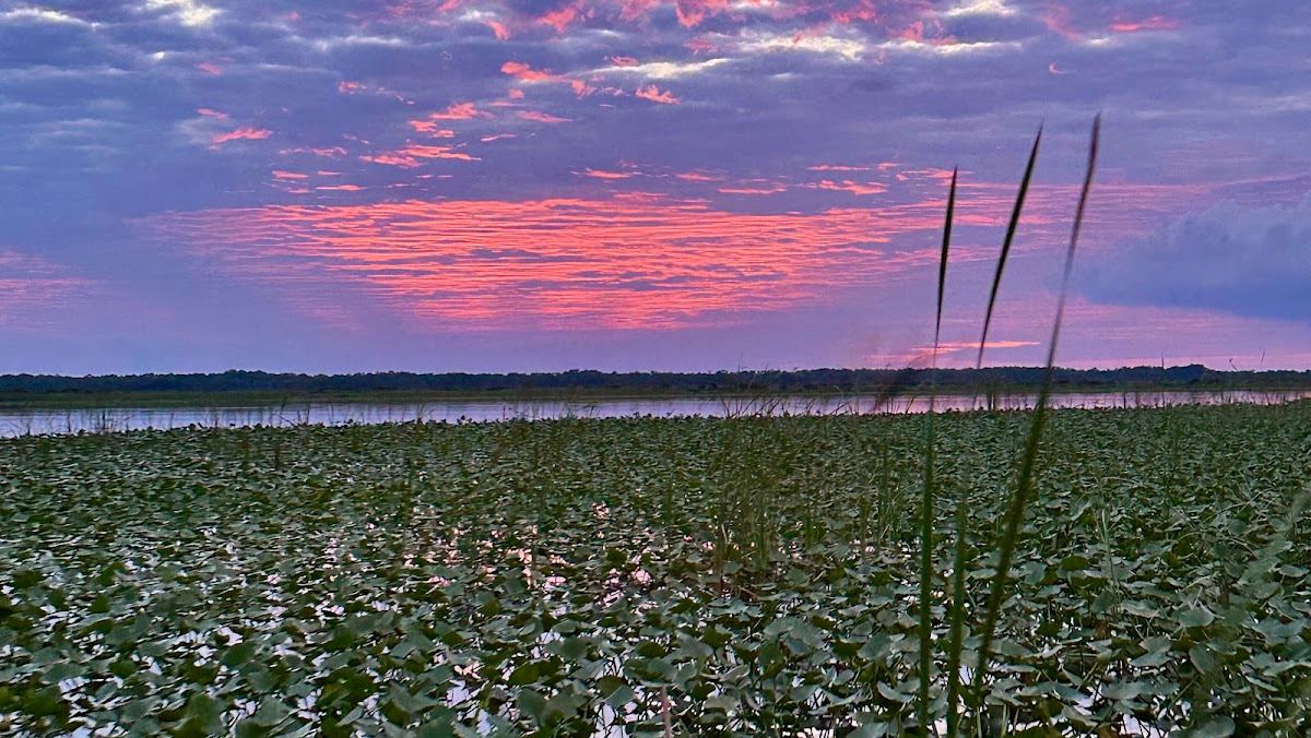 Lake Placid Charter Co. - Airboat Adventures