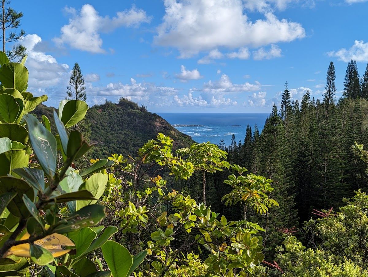 Hauʻula Forest Reserve