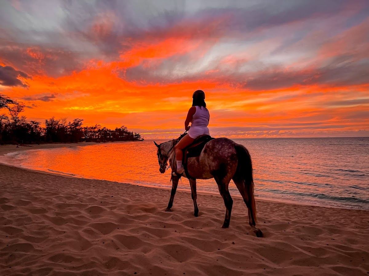 Hawaii Polo Oceanfront Trail Rides