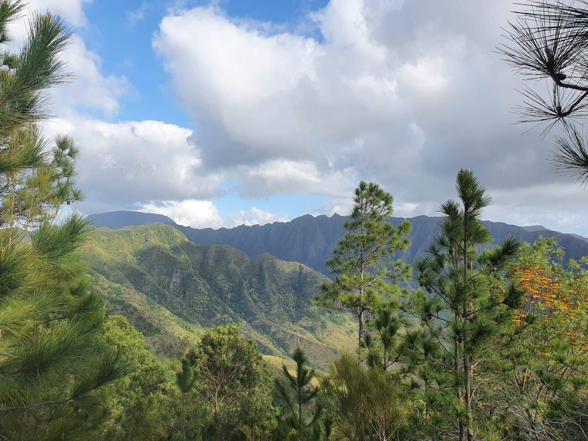Keālia Trail