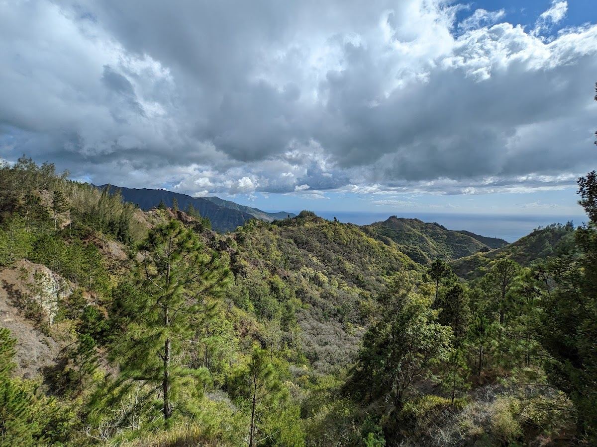 Kuaokala Trail