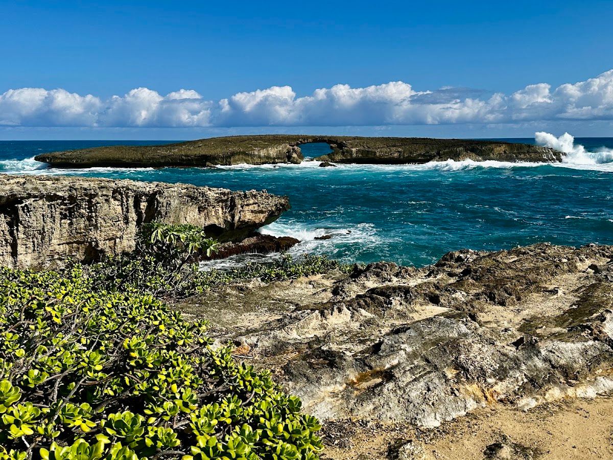 Lāʻie Point State Wayside