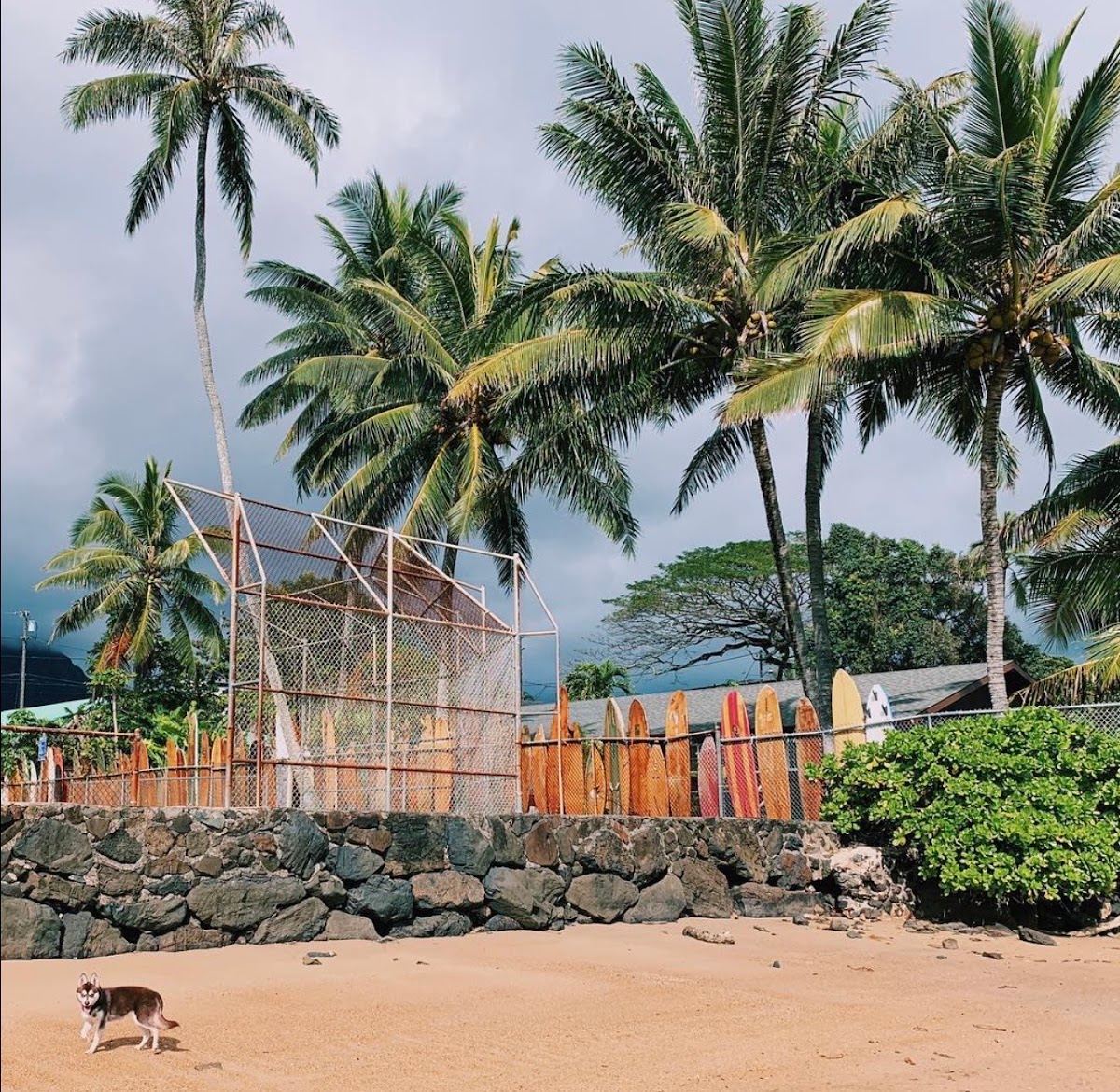 Laenani Beach Boards