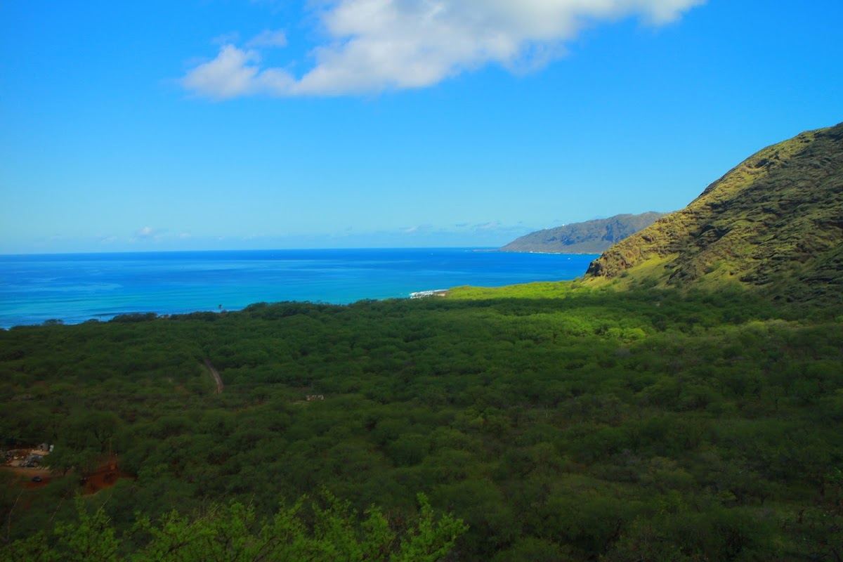 Mākua Keaʻau Forest Reserve