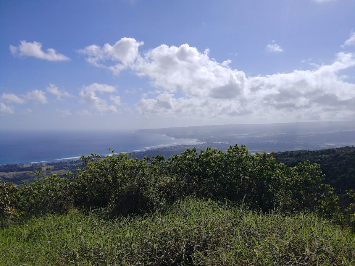 Mokuleʻia Forest Reserve