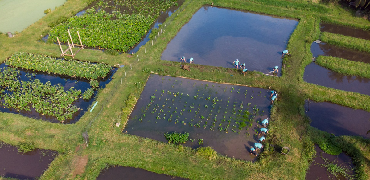 Nā Mea Kūpono Learning Center