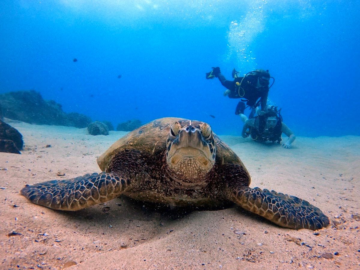 North Shore Dive Shop