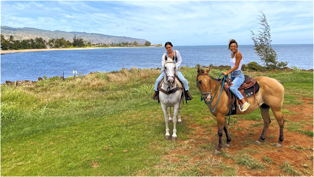 North Shore Stables