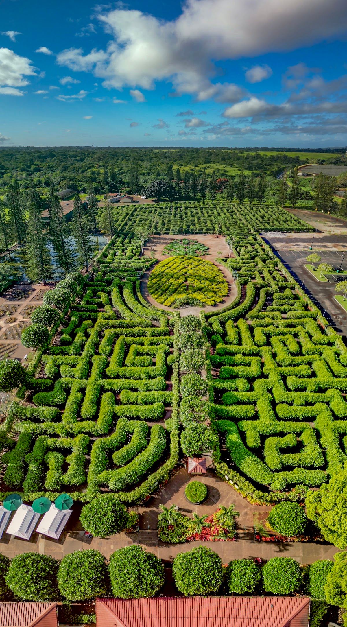 Pineapple Garden Maze