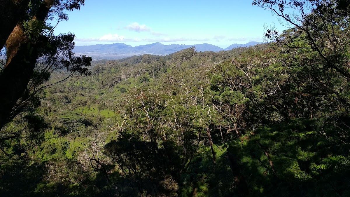 Schofield Waikane Trail