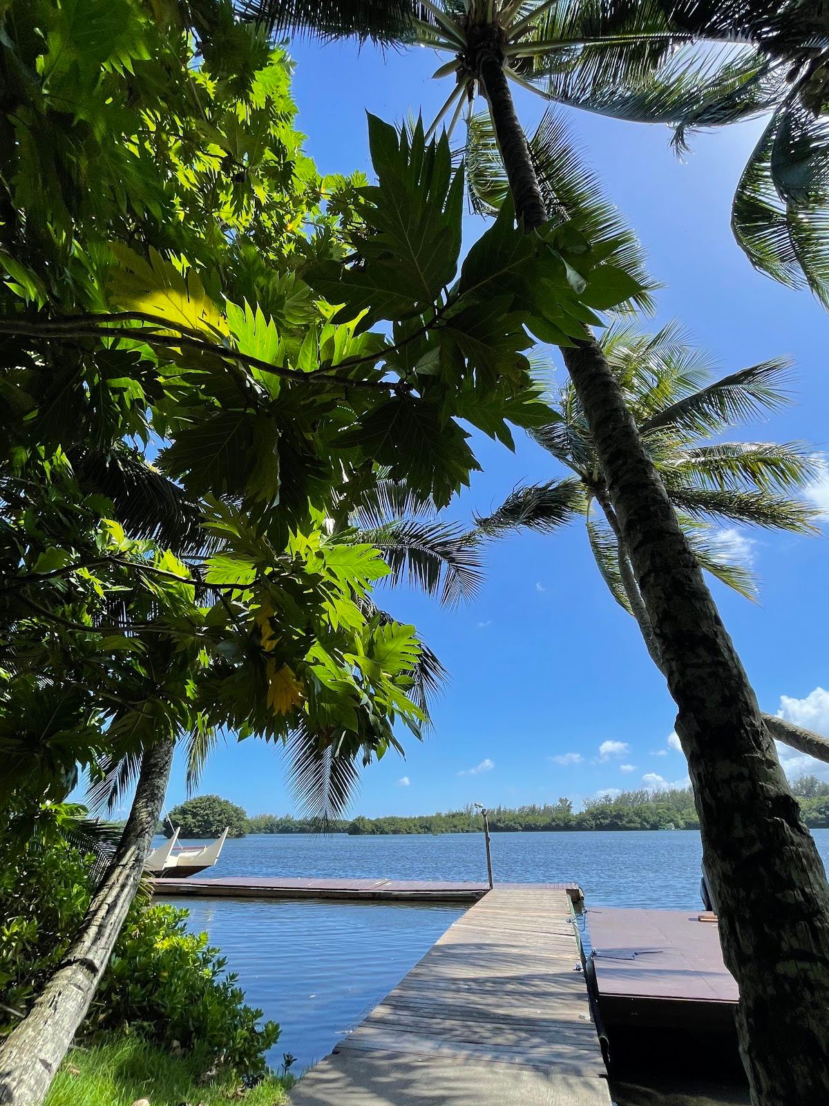 Secret Island