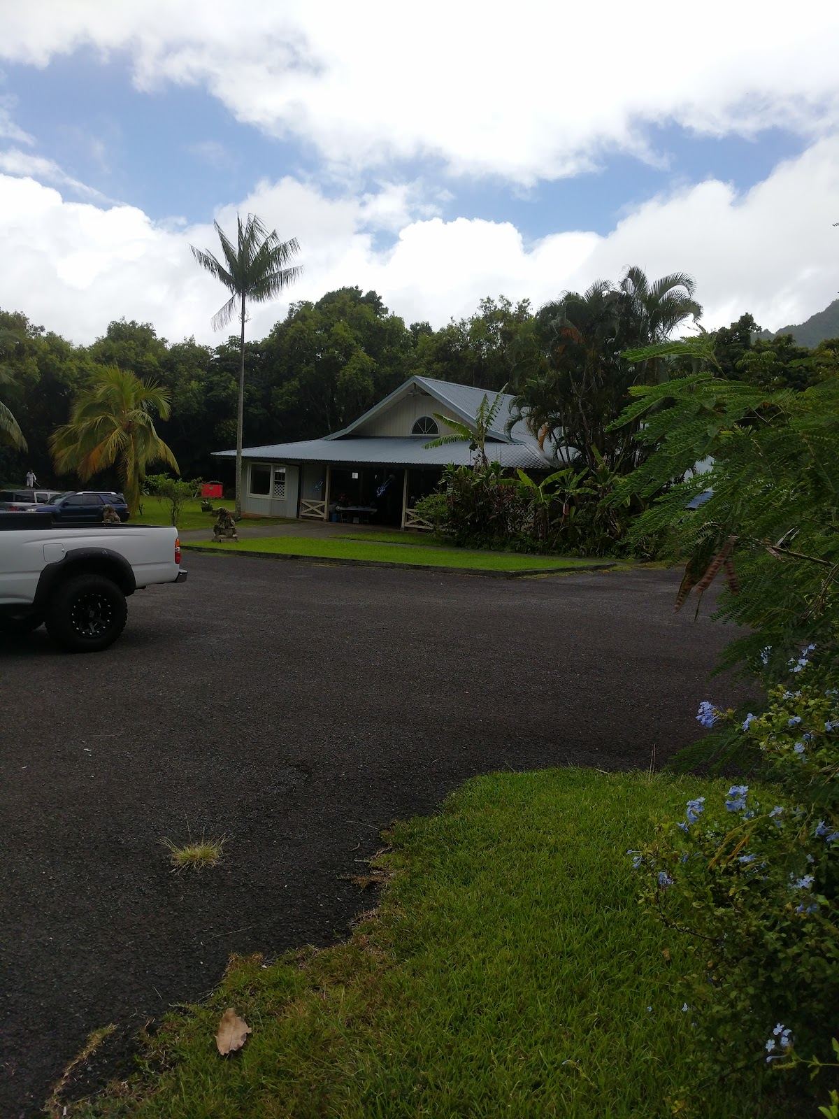 Senator Fong's Plantation