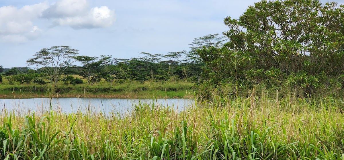 Tanada Reservoir