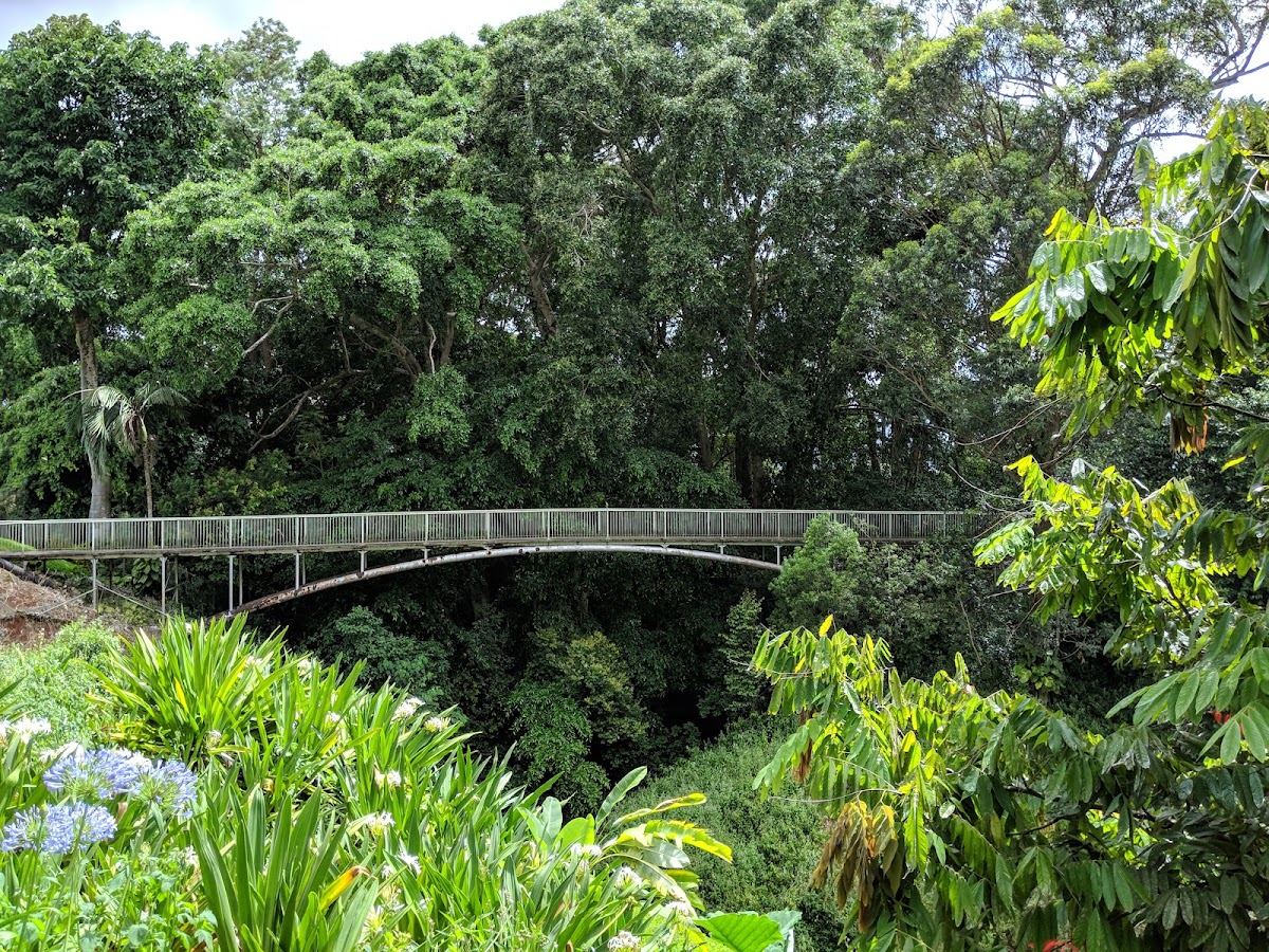 Wahiawā Botanical Garden