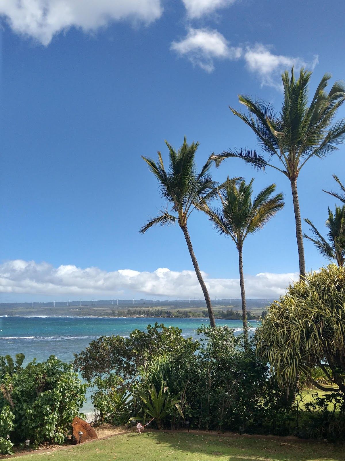 Waialua Community Beach Park