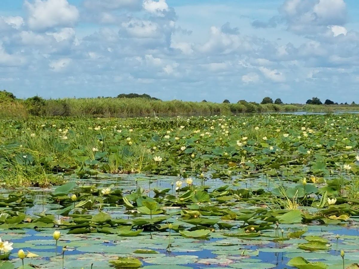 Blue Cypress Conservation Area