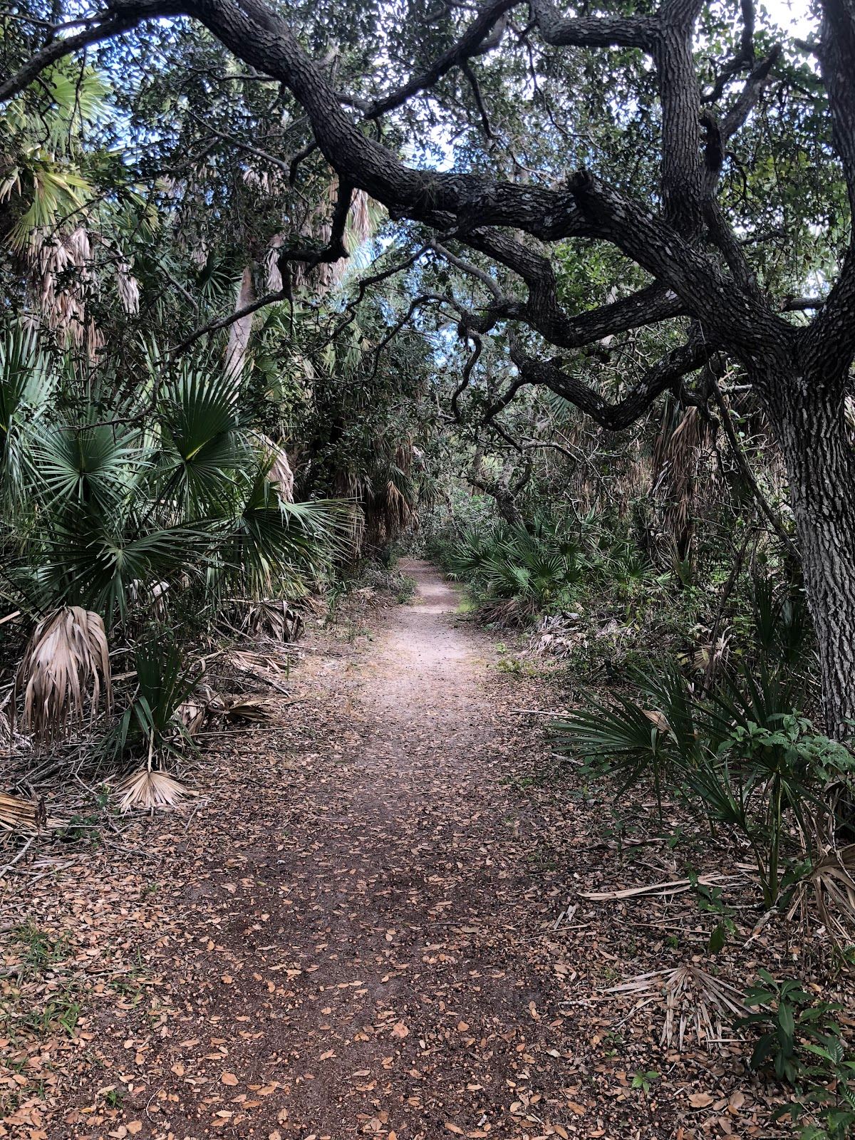 Captain Forster Hammock Preserve