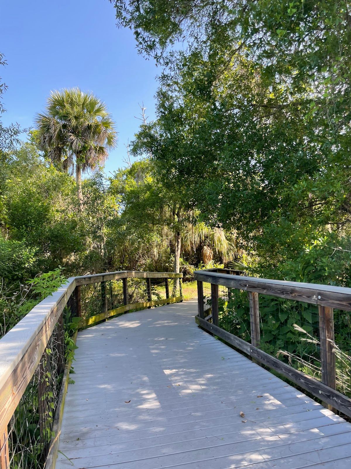 D.J. Wilcox Preserve