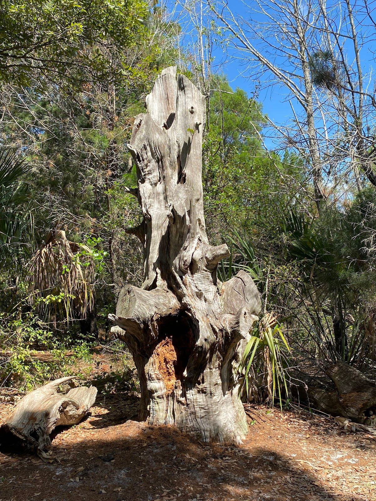 Indrio Scrub Preserve