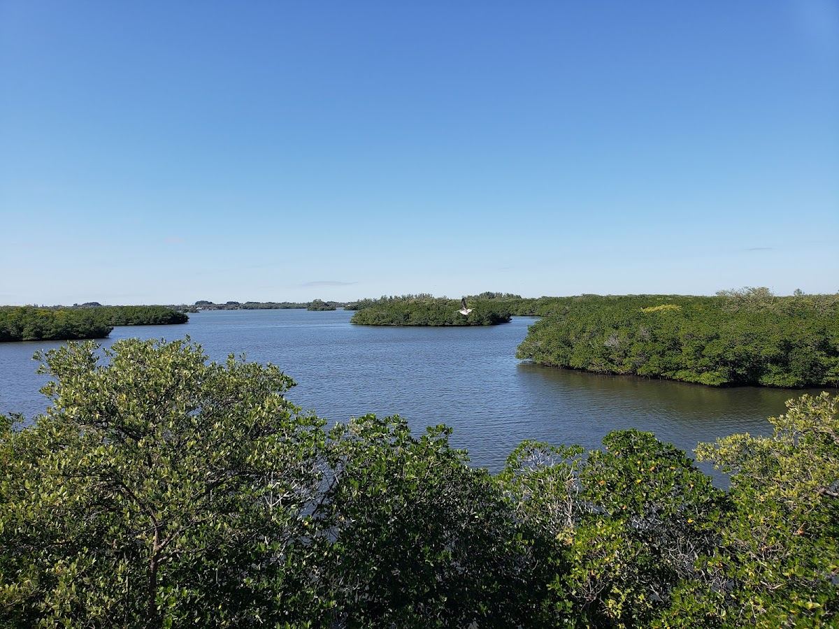 Jack Island
