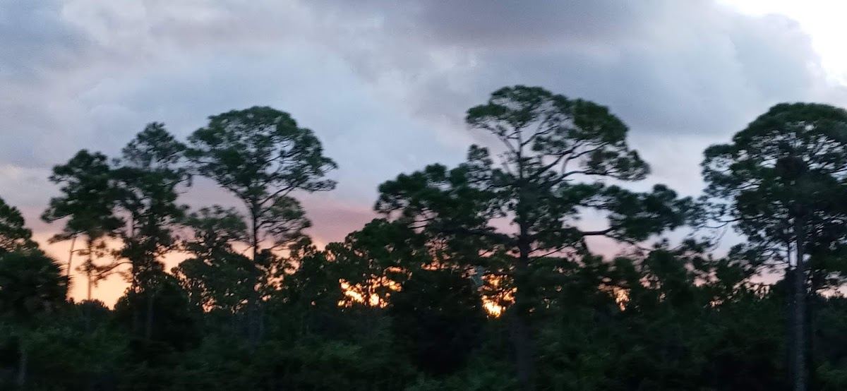 Sand Lakes Restoration Area