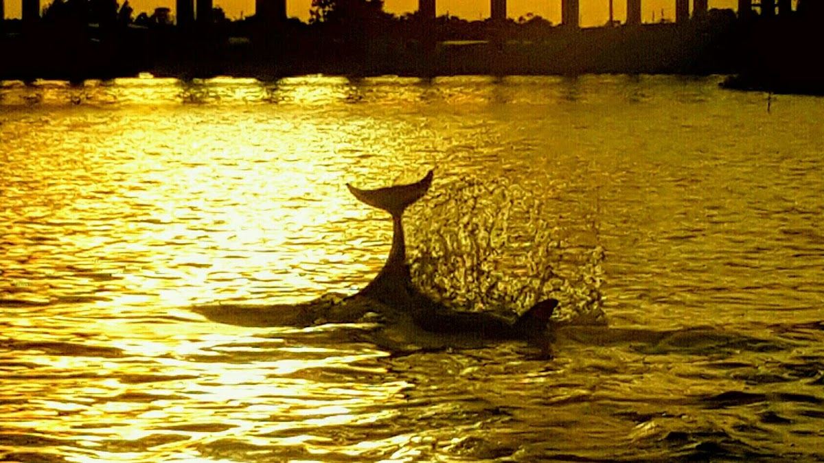 Treasure Coast Cruises